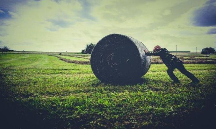 Farming crop
