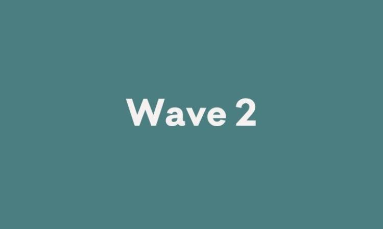 Wave 2 cover