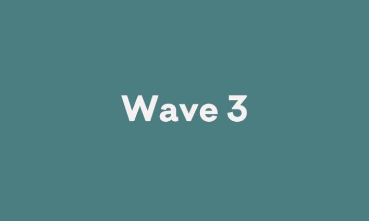 Wave 3 cover