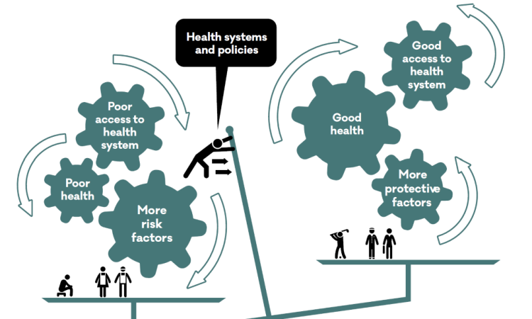 Health, risk factors and access to the health system - infographic