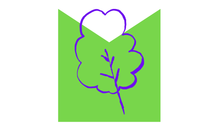 Leaf graphic